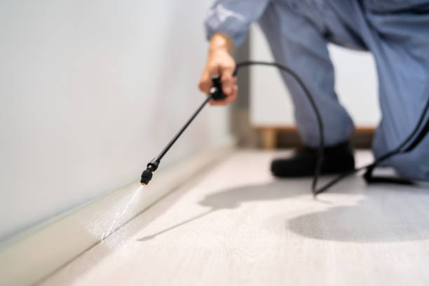 Licensed Pest Control service in Keuka Park, NY - Show Me Pest Control