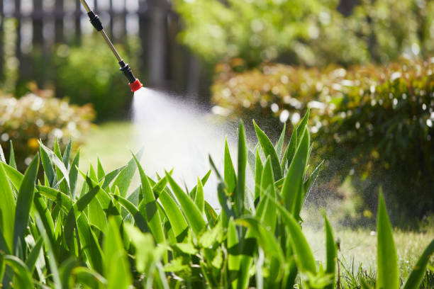 24/7 Emergency Mosquito Control experts in Keuka Park, NY