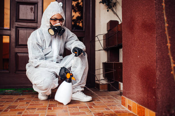 Reliable Mosquito Control contractor in Keuka Park, NY by Show Me Pest Control